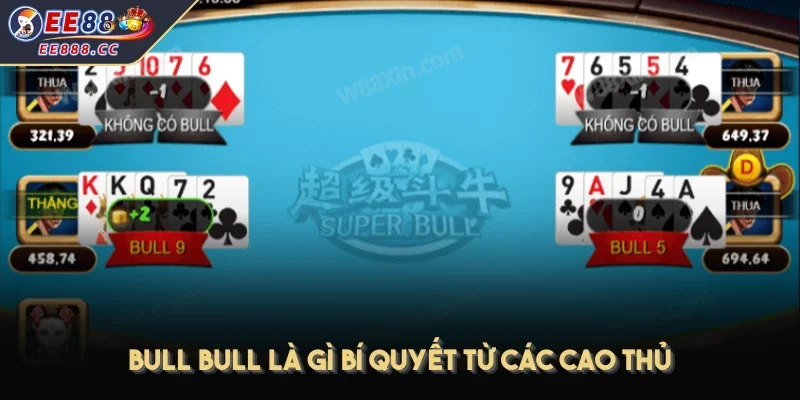 Bull Bull là gì bí quyết từ các cao thủ