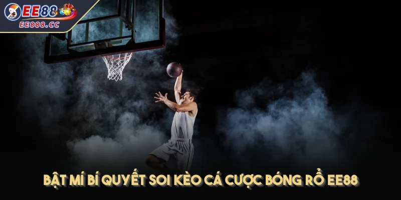 Bật mí bí quyết soi kèo cá cược bóng rổ EE88