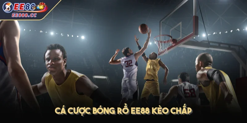 Cá cược bóng rổ EE88 kèo chấp
