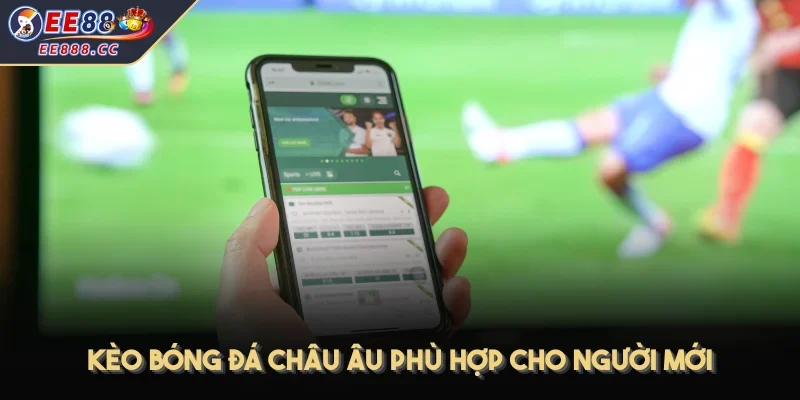 Kèo bóng đá Châu Âu phù hợp cho người mới