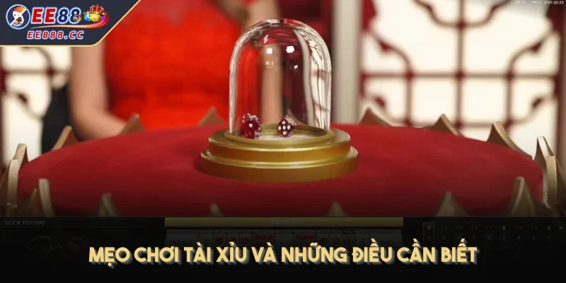 Mẹo chơi tài xỉu và những điều cần biết