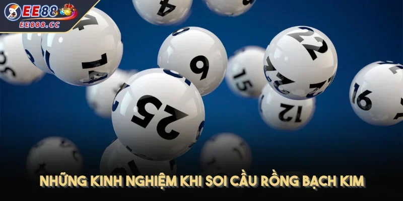 Những kinh nghiệm khi soi cầu rồng bạch kim