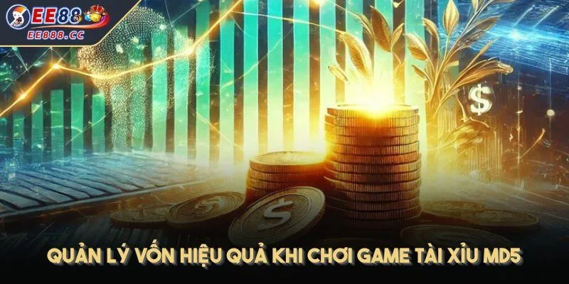 Quản lý vốn hiệu quả khi tham gia chơi game tài xỉu với công nghệ MD5